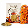 50 Organic Calendula Seeds | Non GMO | Heirloom