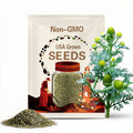 Pineapple Weed (Matricaria discoidea) Seeds