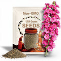 5 Pink Wild Rose Seeds (Rosa Chinensis): Fragrant Perennial Flower