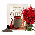 30 Red Rocket Snapdragons Seeds - Cold Resistant - Potted - Attracts pollinators - Open-Pollinating - Antirrhinum majus - Balcony Pot#18