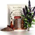 American Beautyberry (Callicarpa americana) 30 seeds harvested in 2025. Sorry, no shipping to CA, TX, AZ and Hi.