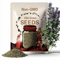 Cleveland Sage or Salvia Clevelandii (10 Seeds) the fragrant sage, blue sage, Jim sage