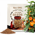 10 Long Island Cheese Pumpkin Seeds. Ships free