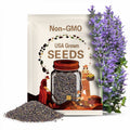 English Lavender Vera True - 100 Seeds - Fragrant Herb - Lavandula angustifolia