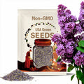 Early Blooming Lilac Seeds ¨C Heirloom Shrub, Fragrant and Beautiful Blooms, Early Spring Flowering | 30 Seeds