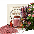 Toscana Pink Strawberry Seeds: Edible Hanging Basket Plant (10+ Seeds)
