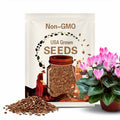 5 Cyclamen Seeds Mix EW91002