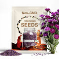 100s|Strawflower Seeds-Purple Red-Perennial -Authentic Seeds-Flowers -Organic. Non GMO -Vegetable Seeds-Mix Seeds for Plant-.#K003