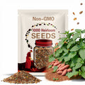 1000 Heirloom Sweet Potato Seeds: Non-GMO, Outdoor Garden Vegetable