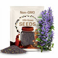 Purple Sprouting Broccoli Seeds ¨C Heirloom, Non?GMO, Open?Pollinated Vegetable, Early and Tender Purple Broccoli, Easy to Grow | 100 Seeds