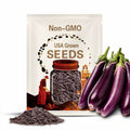 Long Purple Eggplant Seeds - Heirloom Seeds, Asian Heirloom, Thin Purple Skin, Mild Flavor, Solanum Melongena, Open Pollinated, Non-GMO