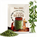 Mammoth Melting Sugar Snow Pea Seeds - Heirloom Seeds, Stringless Pods, Spring and Fall Garden, Pisum Sativum, Open Pollinated, Non-GMO