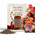 40 Seeds | Rembrandt Dahlia Mixture Seeds - Pollinator Friendly- Open Pollinated - Heirloom - Flower Seeds - Mix Seeds to Plant - . #D044.