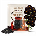 25 Black Marigold Seeds, Rare Hybrid Bloom, Deep Burgundy Flowers, Heirloom Variety, Dark Garden Accent, Non-GMO Seeds