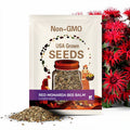 100 PCS - Red Bee Balm Seeds for planting (Monarda Didyma) ¨C  Wild Bergamot Seeds ¨C Perennial Flower Seeds, Vibrant Pollinator Magnet