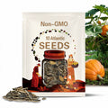 10 Atlantic Giant Pumpkin Seeds. Ships free
