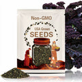 Kale Seeds, Scarlet - 150+ Seeds, Purple Kale Seeds, Non-GMO