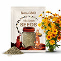 Coreopsis, Lance Leaf | 100 Seeds | Heirloom Plant | Bright Flower Blooms | Easy to Grow | Coreopsis lanceolata