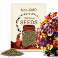Viola Seeds Angel Tiger Eye Red Flower Seeds