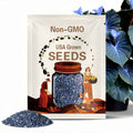 Blue Caladium Seeds: Elephant Ear, Angel Wings - 100 Organic Seeds