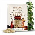 Organic Pole Green Bean Seeds Óлúܿ¶¹¾ÅÁ£°×/ Ëļ¾¶¹/¾ÅÁ£°× | 30 seeds