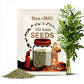 Mugwort Organic Medicinal Herb Seeds, Artemisia Vulgaris, Heirloom, Non-GMO