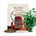 River Leaf Vine Seeds, h?t l¨¢ giang - (5 PCS - high germination rate 85%)