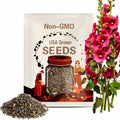 Summer Carnival Mix Hollyhock Herb Perennial Flower 30 Seeds