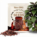 Bulls Blood Beet Heirloom Seeds