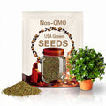 Mini Lucky Wood Tree: Brazilian Wood Plant, Easy Grow Indoor Decor