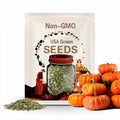10 Fairytale Pumpkin Seeds. Ships free
